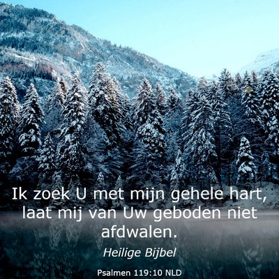 Picture 03 - Psalmen 119:10 NLD - Ik zoek U met mijn gehele hart, laat mij van Uw - Bible Verse Picture