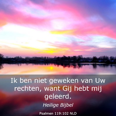 Picture 03 - Psalmen 119:102 NLD - Ik ben niet geweken van Uw rechten, want Gij hebt - Bible Verse Picture