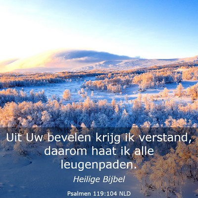 Picture 03 - Psalmen 119:104 NLD - Uit Uw bevelen krijg ik verstand, daarom haat ik - Bible Verse Picture