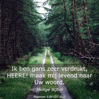 Picture 03 - Psalmen 119:107 NLD - Ik ben gans zeer verdrukt, HEERE! maak mij levend - Bible Verse Picture
