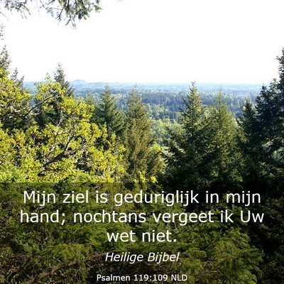 Picture 03 - Psalmen 119:109 NLD - Mijn ziel is geduriglijk in mijn hand; nochtans - Bible Verse Picture