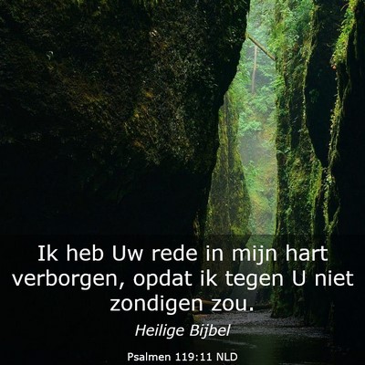 Picture 03 - Psalmen 119:11 NLD - Ik heb Uw rede in mijn hart verborgen, opdat ik - Bible Verse Picture