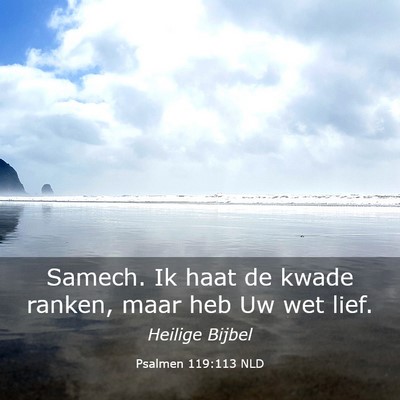 Picture 03 - Psalmen 119:113 NLD - Samech. Ik haat de kwade ranken, maar heb Uw wet - Bible Verse Picture