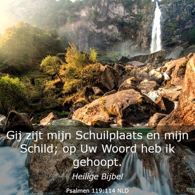 Picture 03 - Psalmen 119:114 NLD - Gij zijt mijn Schuilplaats en mijn Schild; op Uw - Bible Verse Picture