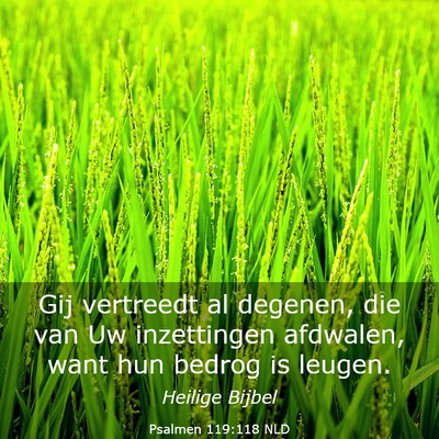 Picture 03 - Psalmen 119:118 NLD - Gij vertreedt al degenen, die van Uw inzettingen - Bible Verse Picture