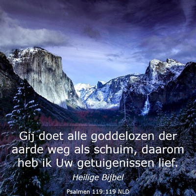 Picture 03 - Psalmen 119:119 NLD - Gij doet alle goddelozen der aarde weg als - Bible Verse Picture