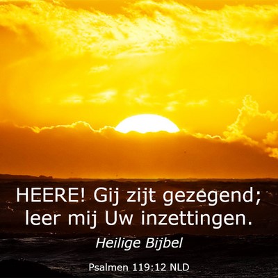 Picture 03 - Psalmen 119:12 NLD - HEERE! Gij zijt gezegend; leer mij Uw - Bible Verse Picture