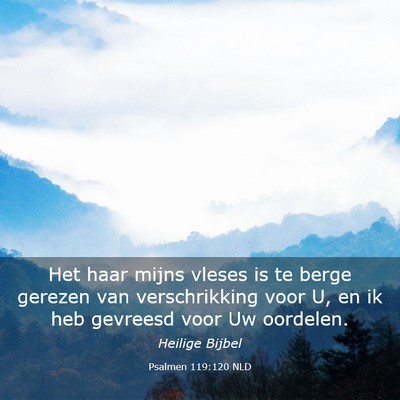 Picture 03 - Psalmen 119:120 NLD - Het haar mijns vleses is te berge gerezen van - Bible Verse Picture