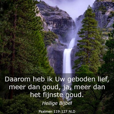 Picture 03 - Psalmen 119:127 NLD - Daarom heb ik Uw geboden lief, meer dan goud, ja, - Bible Verse Picture