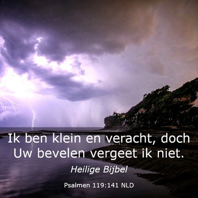 Picture 03 - Psalmen 119:141 NLD - Ik ben klein en veracht, doch Uw bevelen vergeet - Bible Verse Picture