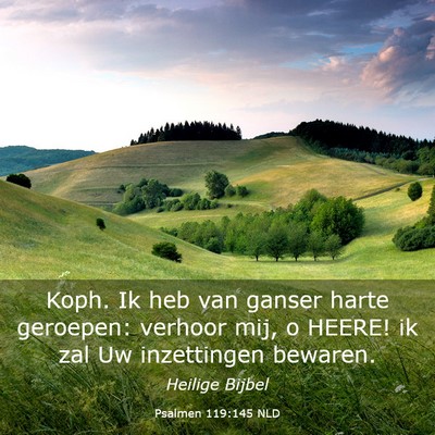 Picture 03 - Psalmen 119:145 NLD - Koph. Ik heb van ganser harte geroepen: verhoor - Bible Verse Picture
