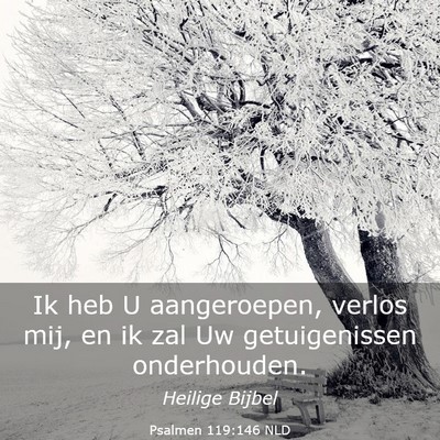 Picture 03 - Psalmen 119:146 NLD - Ik heb U aangeroepen, verlos mij, en ik zal Uw - Bible Verse Picture