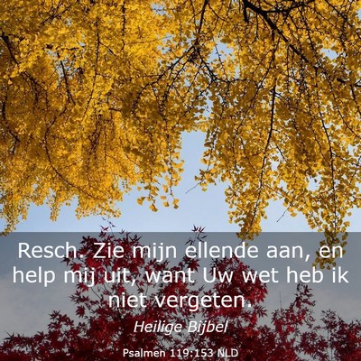 Picture 03 - Psalmen 119:153 NLD - Resch. Zie mijn ellende aan, en help mij uit, - Bible Verse Picture