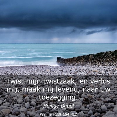 Picture 03 - Psalmen 119:154 NLD - Twist mijn twistzaak, en verlos mij, maak mij - Bible Verse Picture