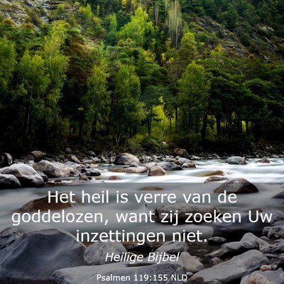 Picture 03 - Psalmen 119:155 NLD - Het heil is verre van de goddelozen, want zij - Bible Verse Picture