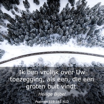 Picture 03 - Psalmen 119:162 NLD - Ik ben vrolijk over Uw toezegging, als een, die - Bible Verse Picture