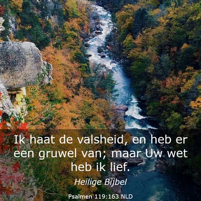 Picture 03 - Psalmen 119:163 NLD - Ik haat de valsheid, en heb er een gruwel van; - Bible Verse Picture