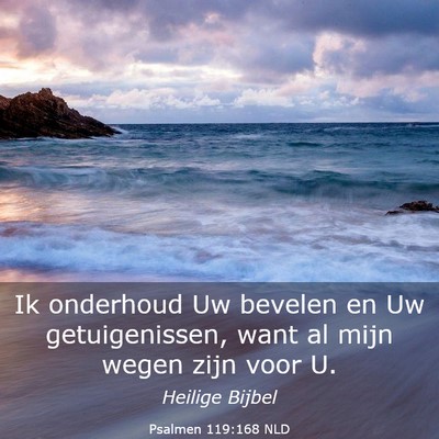 Picture 03 - Psalmen 119:168 NLD - Ik onderhoud Uw bevelen en Uw getuigenissen, want - Bible Verse Picture