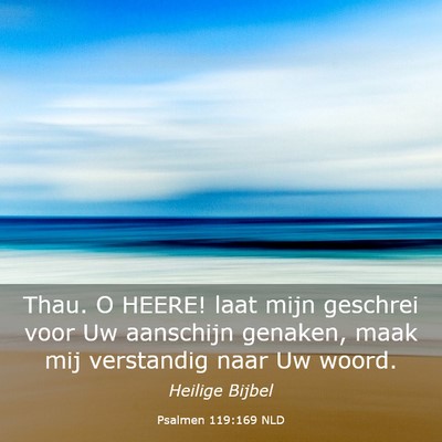 Picture 03 - Psalmen 119:169 NLD - Thau. O HEERE! laat mijn geschrei voor Uw - Bible Verse Picture