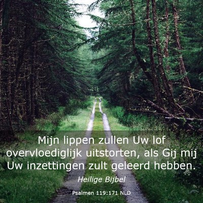 Picture 03 - Psalmen 119:171 NLD - Mijn lippen zullen Uw lof overvloediglijk - Bible Verse Picture