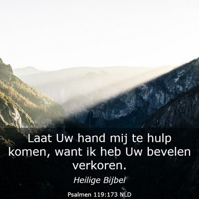 Picture 03 - Psalmen 119:173 NLD - Laat Uw hand mij te hulp komen, want ik heb Uw - Bible Verse Picture