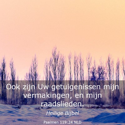 Picture 03 - Psalmen 119:24 NLD - Ook zijn Uw getuigenissen mijn vermakingen, en - Bible Verse Picture