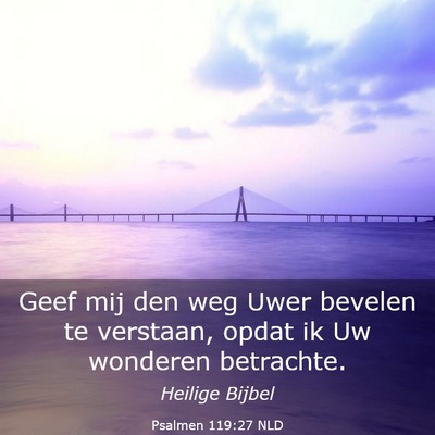 Picture 03 - Psalmen 119:27 NLD - Geef mij den weg Uwer bevelen te verstaan, opdat - Bible Verse Picture