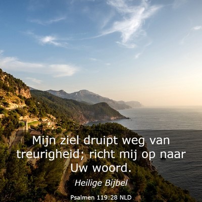 Picture 03 - Psalmen 119:28 NLD - Mijn ziel druipt weg van treurigheid; richt mij - Bible Verse Picture