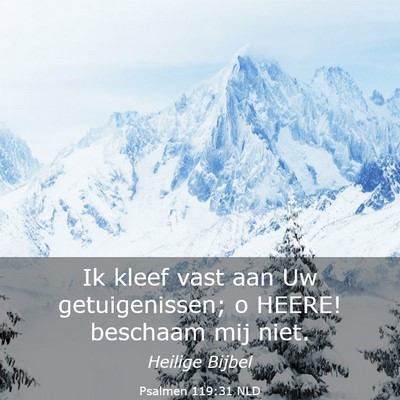 Picture 03 - Psalmen 119:31 NLD - Ik kleef vast aan Uw getuigenissen; o HEERE! - Bible Verse Picture