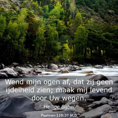 Picture 03 - Psalmen 119:37 NLD - Wend mijn ogen af, dat zij geen ijdelheid zien; - Bible Verse Picture