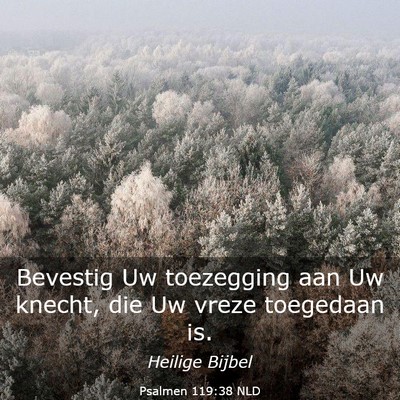 Picture 03 - Psalmen 119:38 NLD - Bevestig Uw toezegging aan Uw knecht, die Uw - Bible Verse Picture