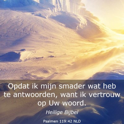 Picture 03 - Psalmen 119:42 NLD - Opdat ik mijn smader wat heb te antwoorden, want - Bible Verse Picture