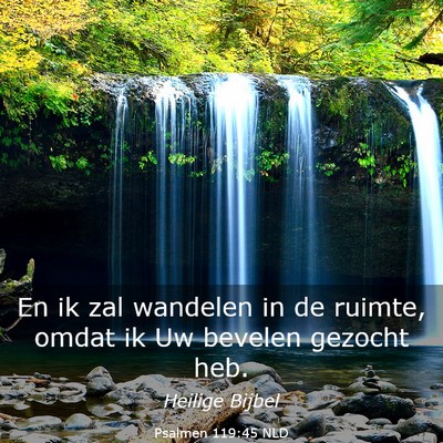 Picture 03 - Psalmen 119:45 NLD - En ik zal wandelen in de ruimte, omdat ik Uw - Bible Verse Picture