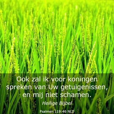 Picture 03 - Psalmen 119:46 NLD - Ook zal ik voor koningen spreken van Uw - Bible Verse Picture