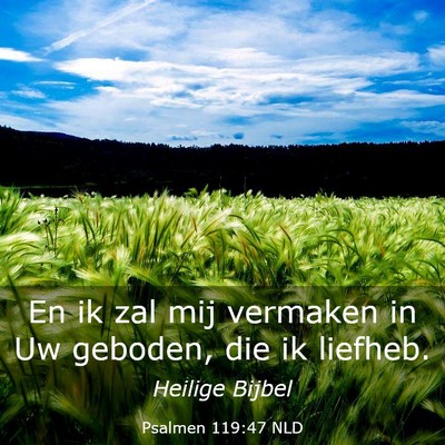 Picture 03 - Psalmen 119:47 NLD - En ik zal mij vermaken in Uw geboden, die ik - Bible Verse Picture
