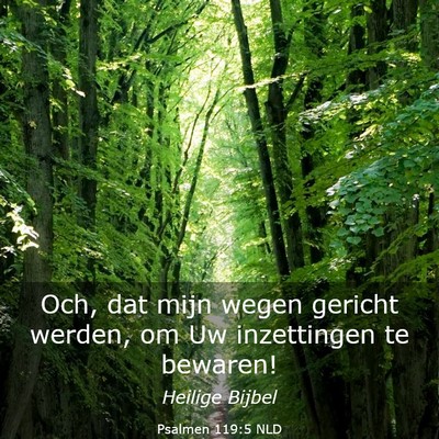 Picture 03 - Psalmen 119:5 NLD - Och, dat mijn wegen gericht werden, om Uw - Bible Verse Picture