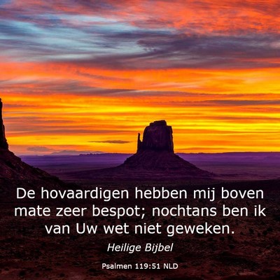 Picture 03 - Psalmen 119:51 NLD - De hovaardigen hebben mij boven mate zeer bespot; - Bible Verse Picture
