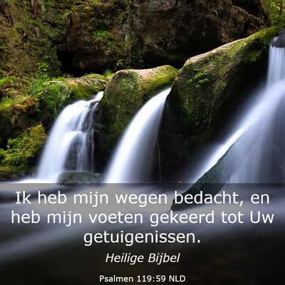 Picture 03 - Psalmen 119:59 NLD - Ik heb mijn wegen bedacht, en heb mijn voeten - Bible Verse Picture
