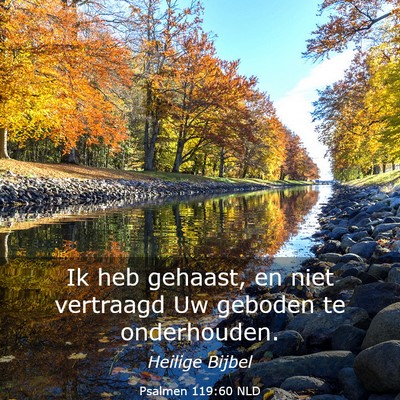 Picture 03 - Psalmen 119:60 NLD - Ik heb gehaast, en niet vertraagd Uw geboden te - Bible Verse Picture