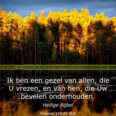 Picture 03 - Psalmen 119:63 NLD - Ik ben een gezel van allen, die U vrezen, en van - Bible Verse Picture