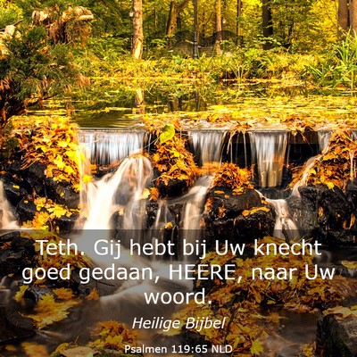 Picture 03 - Psalmen 119:65 NLD - Teth. Gij hebt bij Uw knecht goed gedaan, HEERE, - Bible Verse Picture