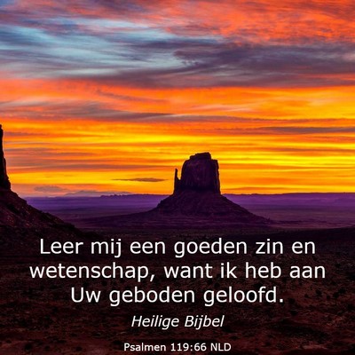 Picture 03 - Psalmen 119:66 NLD - Leer mij een goeden zin en wetenschap, want ik - Bible Verse Picture