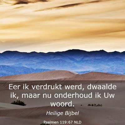 Picture 03 - Psalmen 119:67 NLD - Eer ik verdrukt werd, dwaalde ik, maar nu - Bible Verse Picture