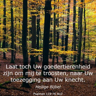 Picture 03 - Psalmen 119:76 NLD - Laat toch Uw goedertierenheid zijn om mij te - Bible Verse Picture