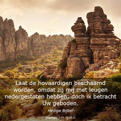 Picture 03 - Psalmen 119:78 NLD - Laat de hovaardigen beschaamd worden, omdat zij - Bible Verse Picture