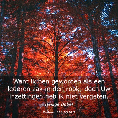 Picture 03 - Psalmen 119:83 NLD - Want ik ben geworden als een lederen zak in den - Bible Verse Picture