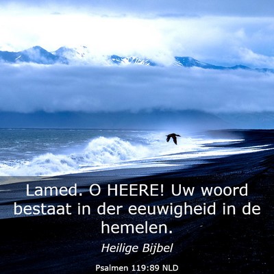 Picture 03 - Psalmen 119:89 NLD - Lamed. O HEERE! Uw woord bestaat in der - Bible Verse Picture