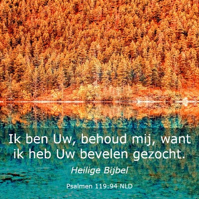Picture 03 - Psalmen 119:94 NLD - Ik ben Uw, behoud mij, want ik heb Uw bevelen - Bible Verse Picture