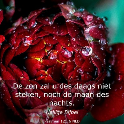 Picture 03 - Psalmen 121:6 NLD - De zon zal u des daags niet steken, noch de maan - Bible Verse Picture