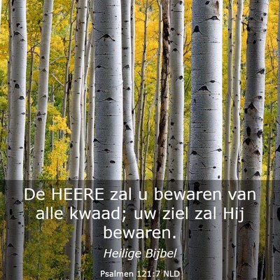 Picture 03 - Psalmen 121:7 NLD - De HEERE zal u bewaren van alle kwaad; uw ziel - Bible Verse Picture